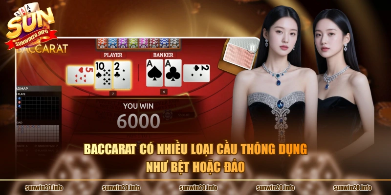Baccarat có nhiều loại cầu thông dụng như bệt hoặc đảo