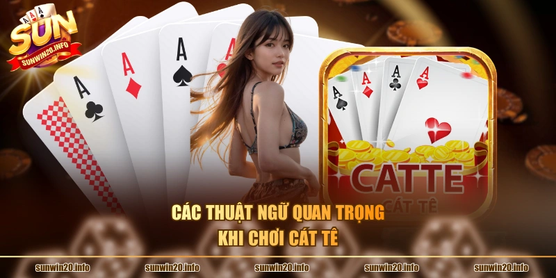 Các thuật ngữ quan trọng khi chơi cát tê