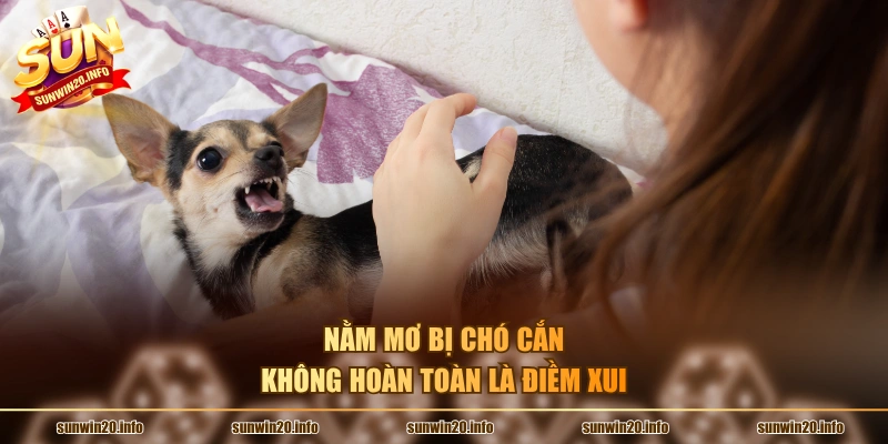 Nằm mơ bị chó cắn không hoàn toàn là điềm xui